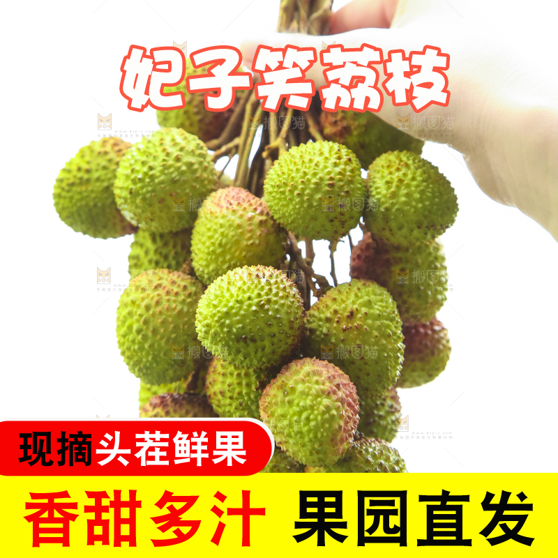 手里拿着妃子笑荔枝