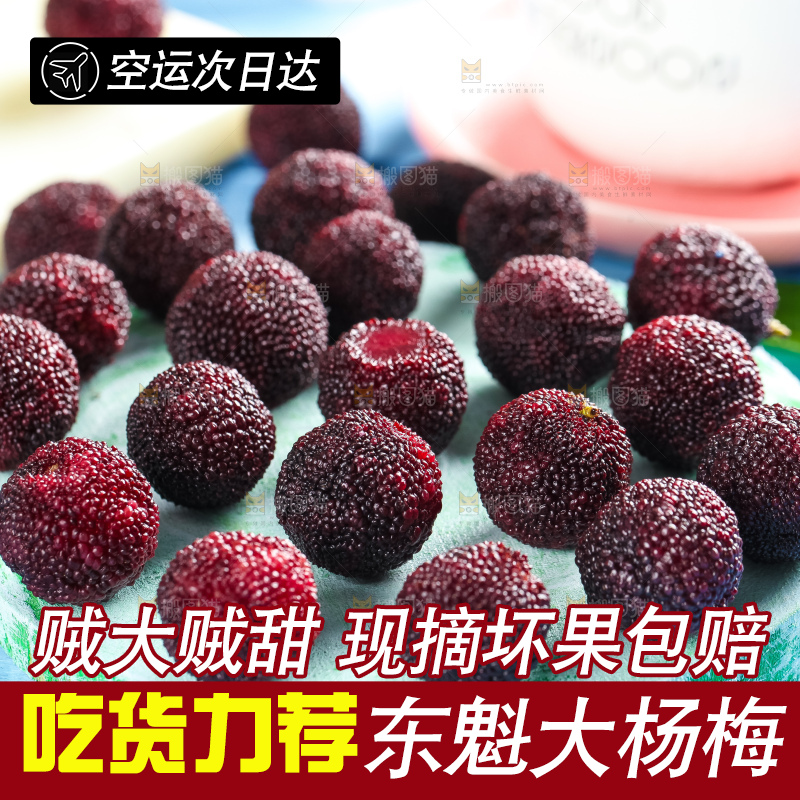 浅底上摆放着鲜杨梅