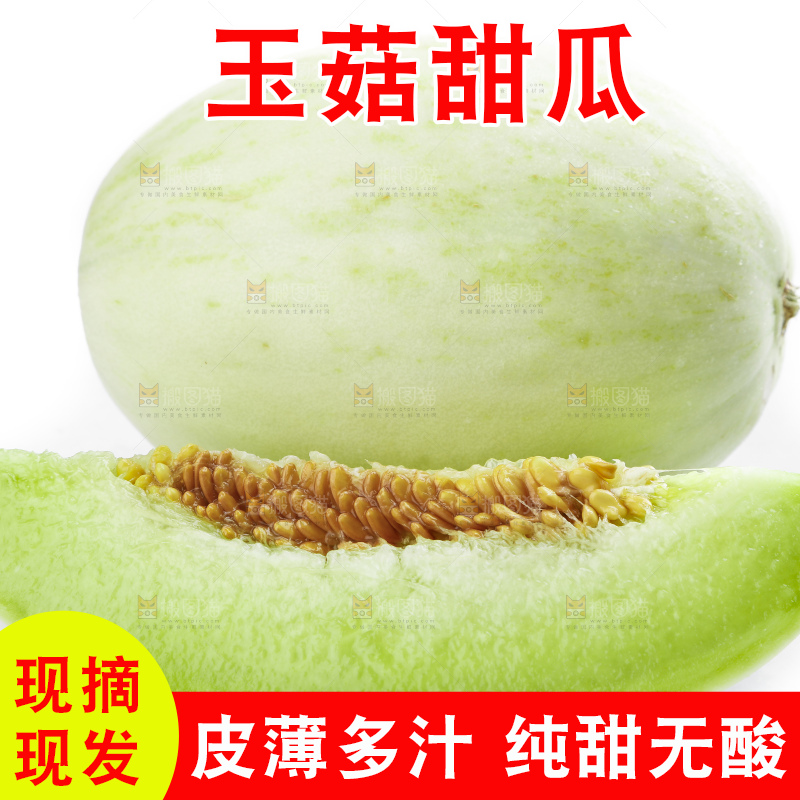 白底上摆放着山东玉菇甜瓜