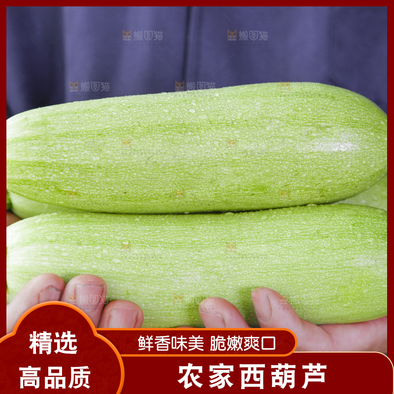 手里拿着西葫芦瓜