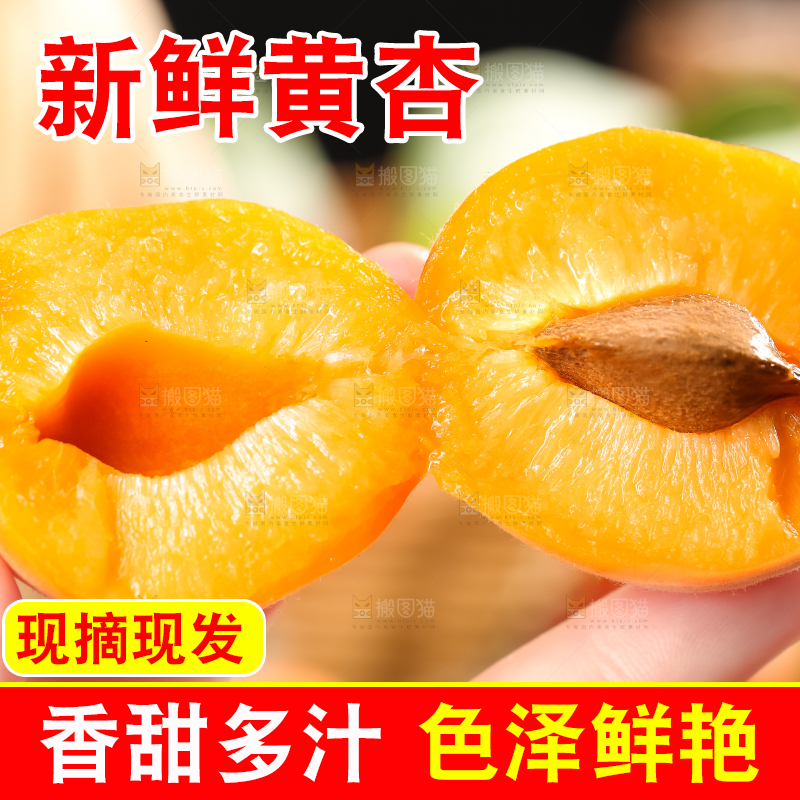 手里拿着陕西大黄杏