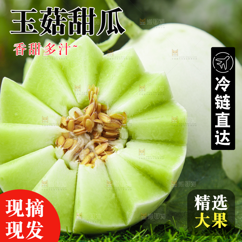 绿草地上摆放着玉菇甜瓜
