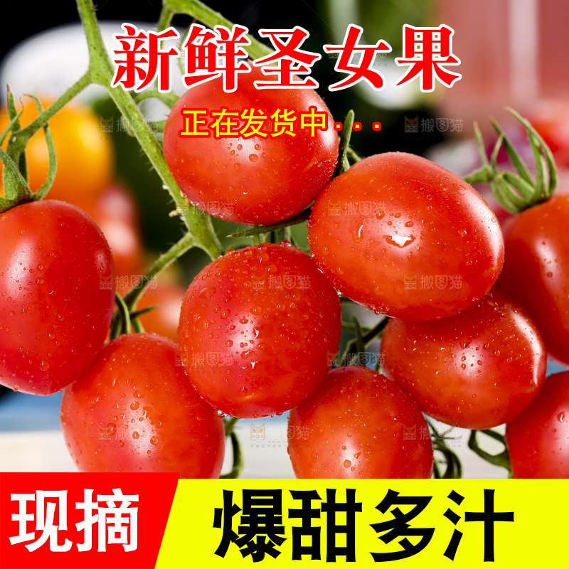 浅底上的小番茄