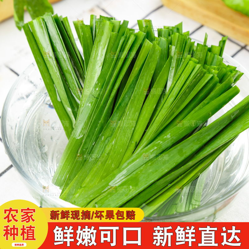 碟子里装着鲜嫩韭菜
