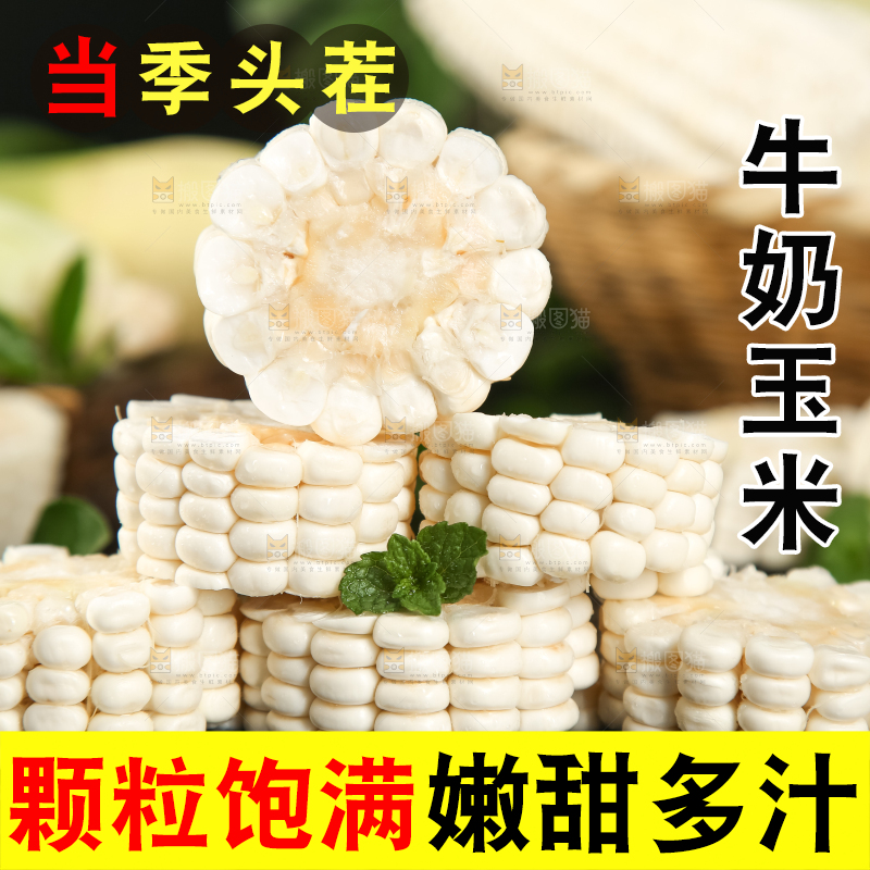 黑底上放着白玉米