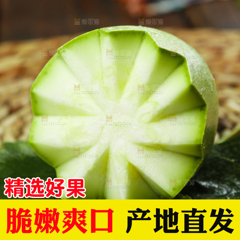 绿叶上放着西葫芦