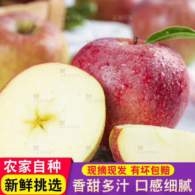 浅底上摆放着秦冠苹果