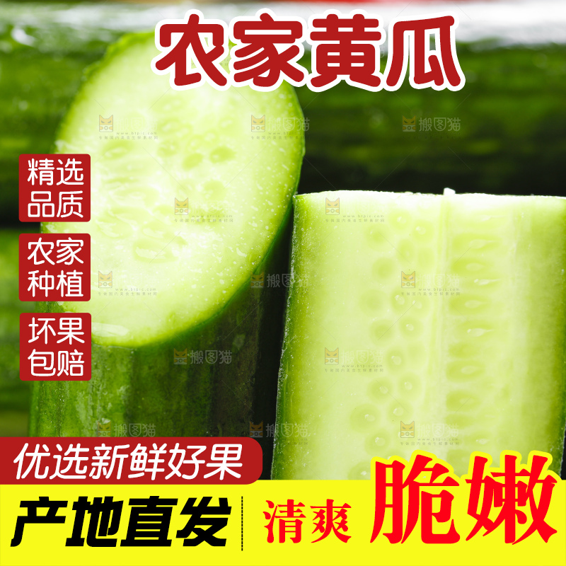 黑底上放着嫩黄瓜