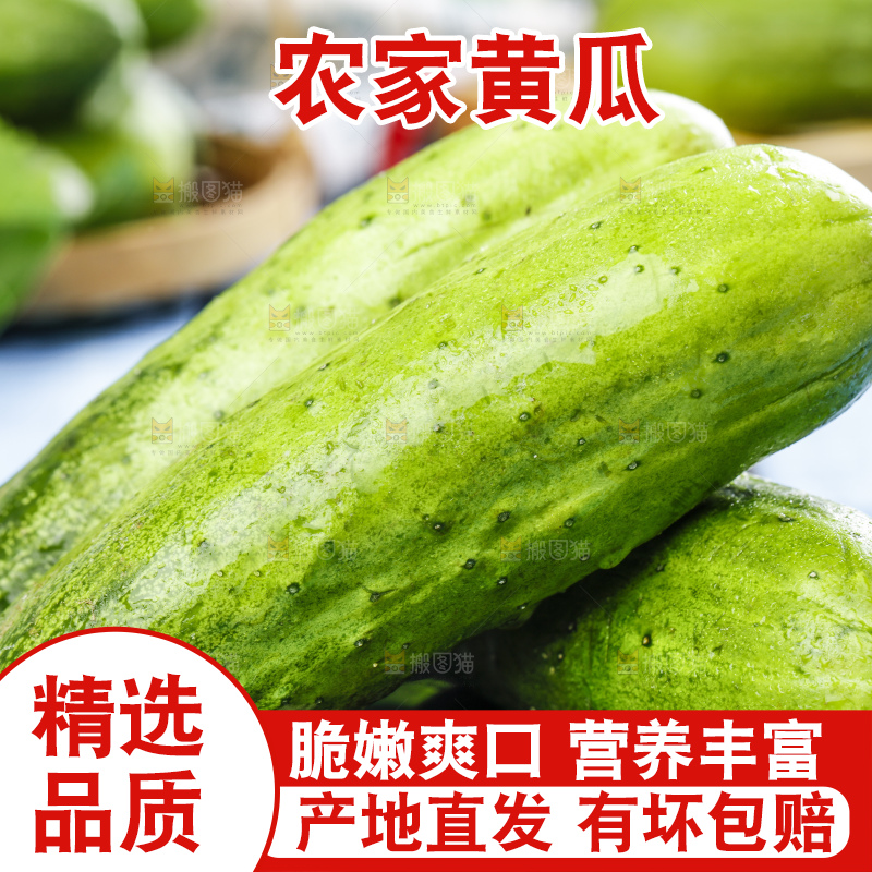 碟子里装着黄瓜
