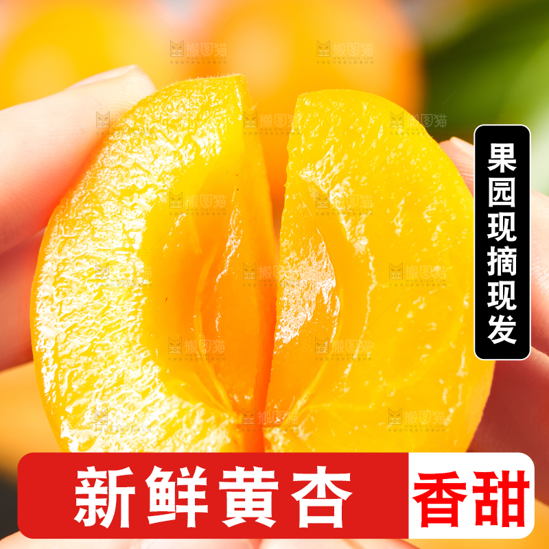 手里拿着黄杏