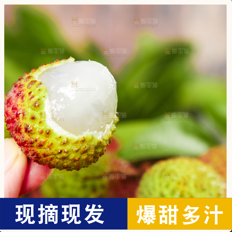手里拿着妃子笑荔枝