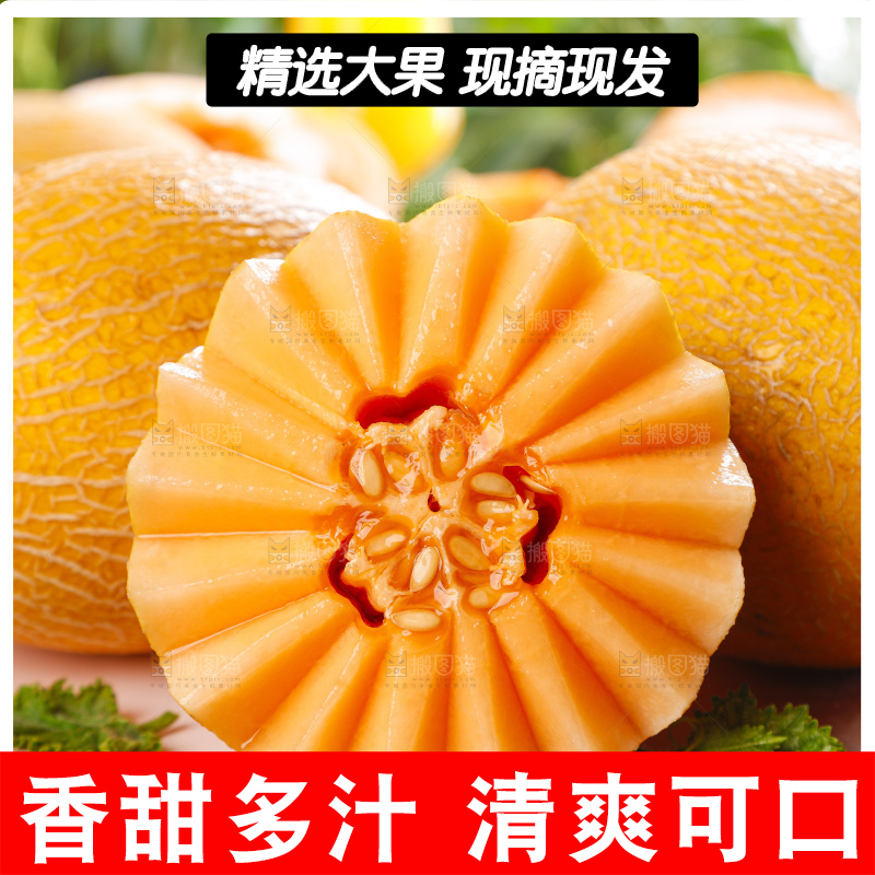 黄皮哈密瓜主图