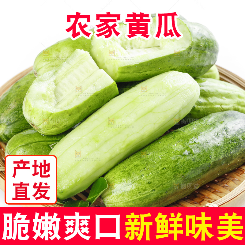 篮子里装着蔬菜黄瓜
