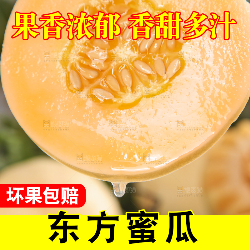 浅底上的东方蜜瓜