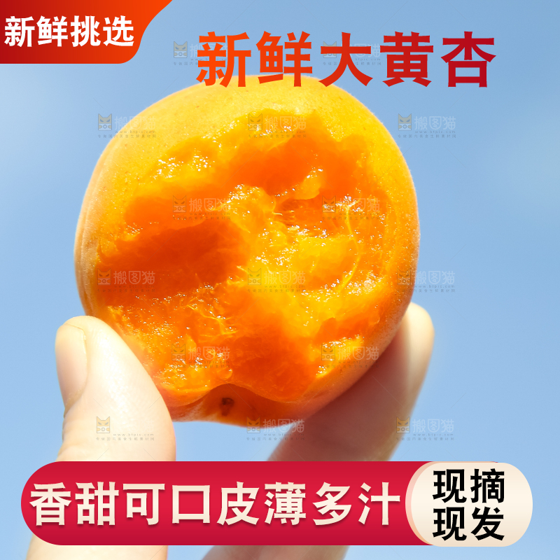 手里拿着黄杏