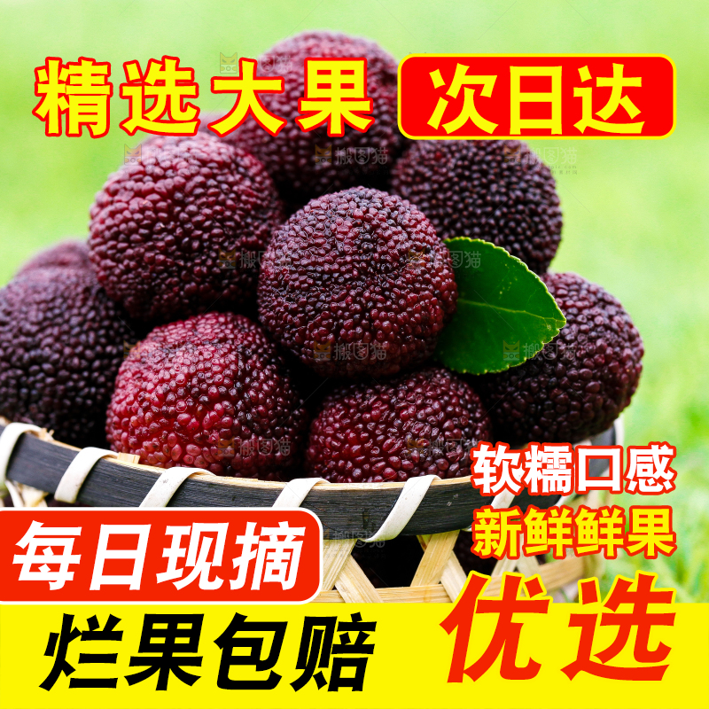 篮子里装着杨梅
