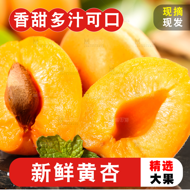 黑底上放着黄杏