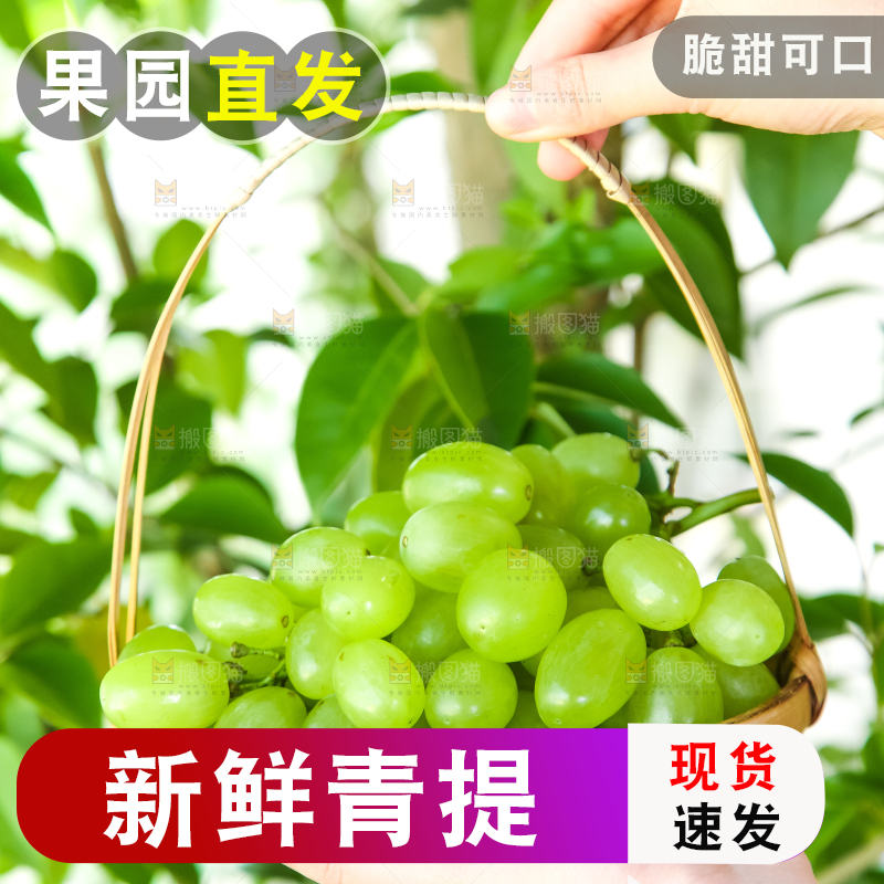 手里拿着一篮青提