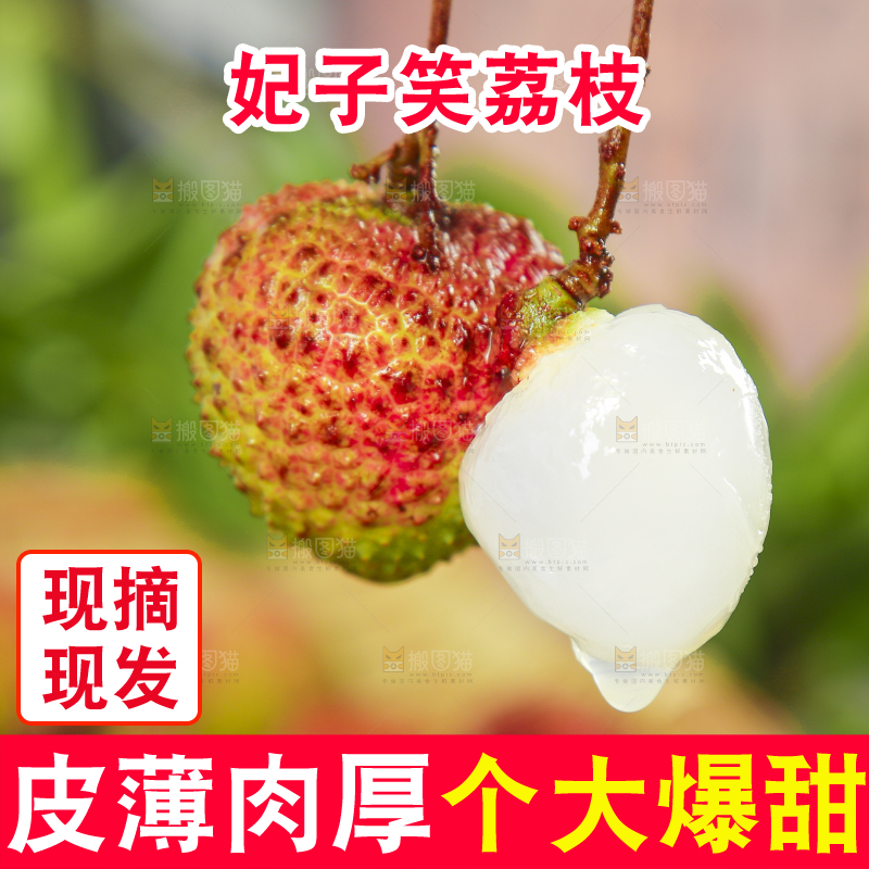 手里拿着妃子笑荔枝