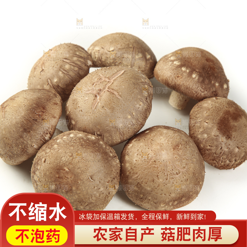 白底上放着香菇