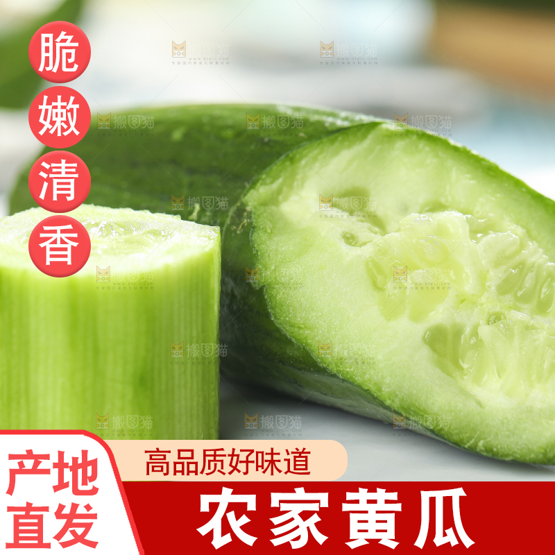 白底上摆放着小黄瓜