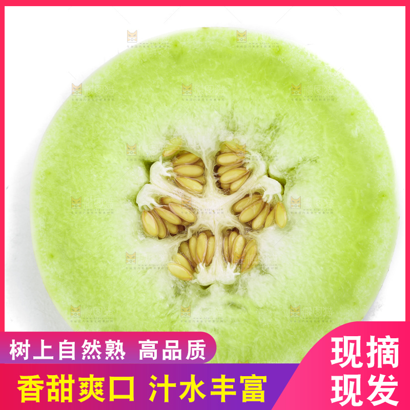 白底上摆放着山东玉菇甜瓜