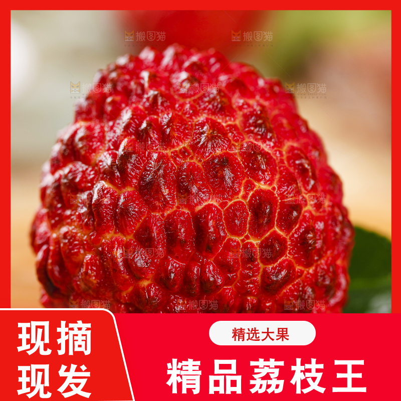 木底上摆放着火山荔枝王