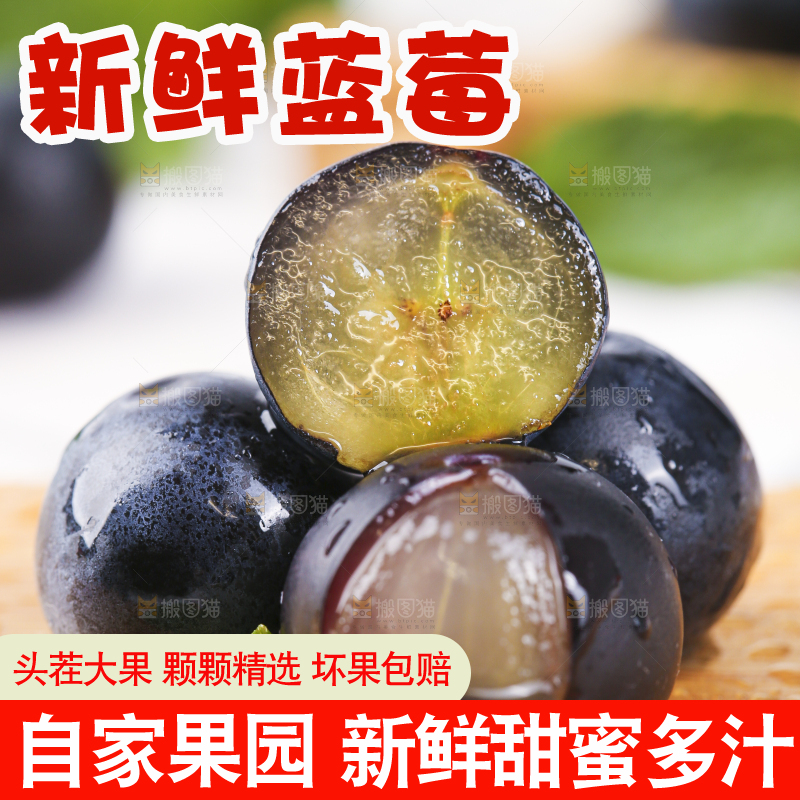 木板上摆放着新鲜蓝莓