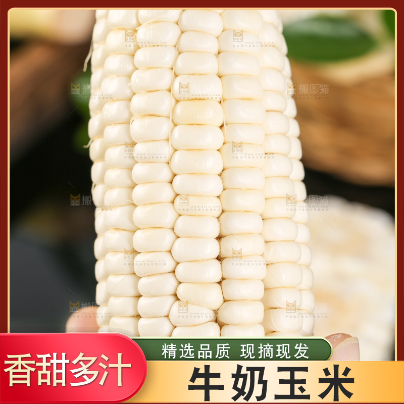 手里拿着甜玉米