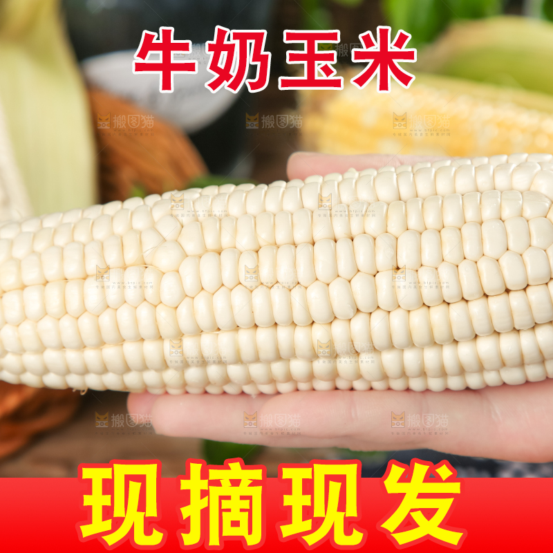 手里拿着玉米棒