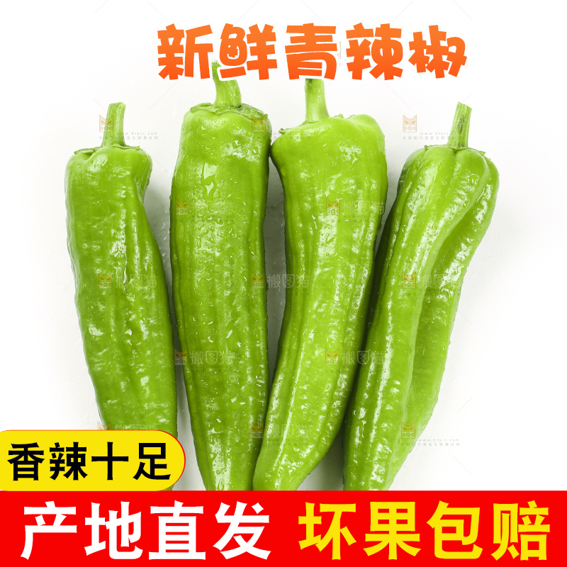 白底上摆放着青辣椒