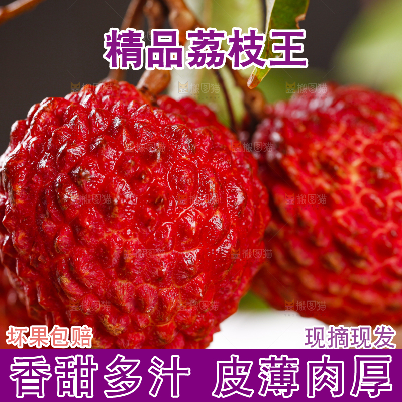木底上摆放着海口火山荔枝王