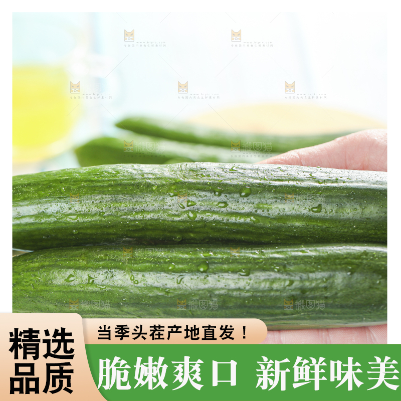 手里拿着无刺小黄瓜