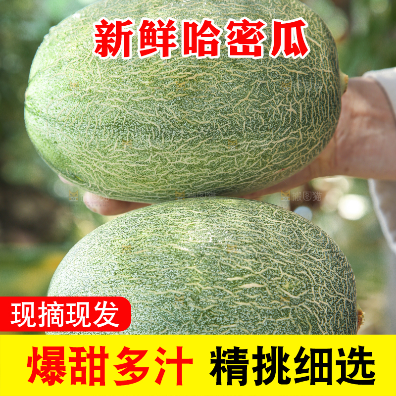 手里拿着哈密瓜