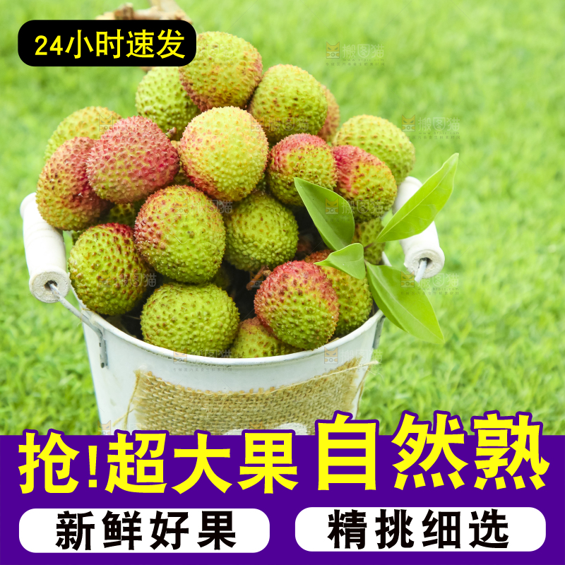 小桶里装着鲜荔枝