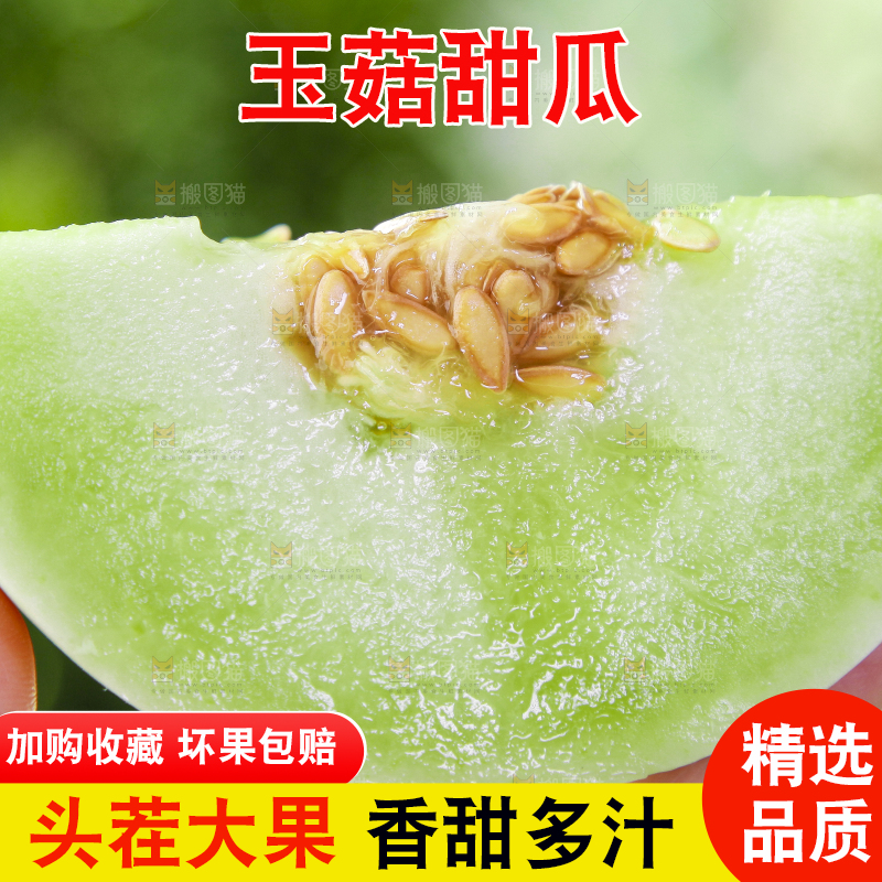 手里拿着玉菇香瓜