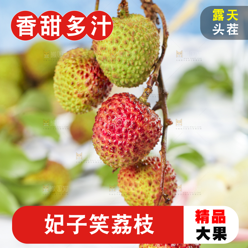 手里拿着妃子笑荔枝