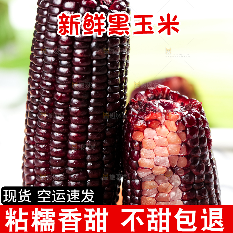 木底上放着紫玉米