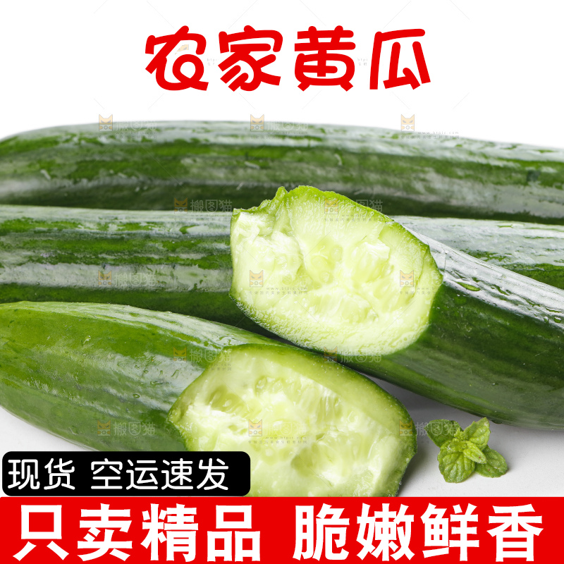 白底上摆放着嫩黄瓜