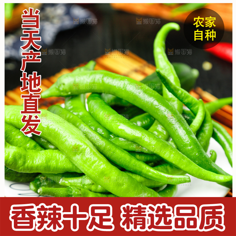 盘子里装着青杭椒