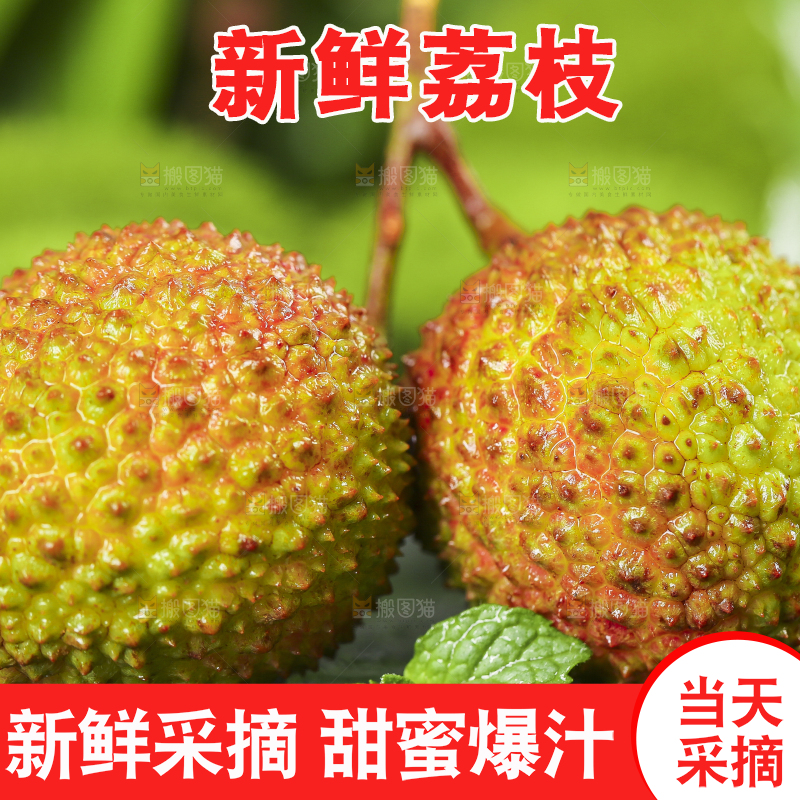 手里拿着妃子笑荔枝