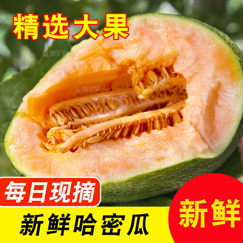 手里拿着网纹蜜瓜