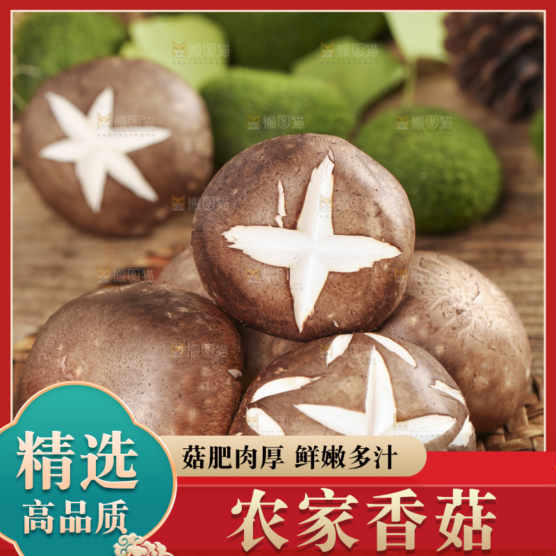 编织垫上放着香菇