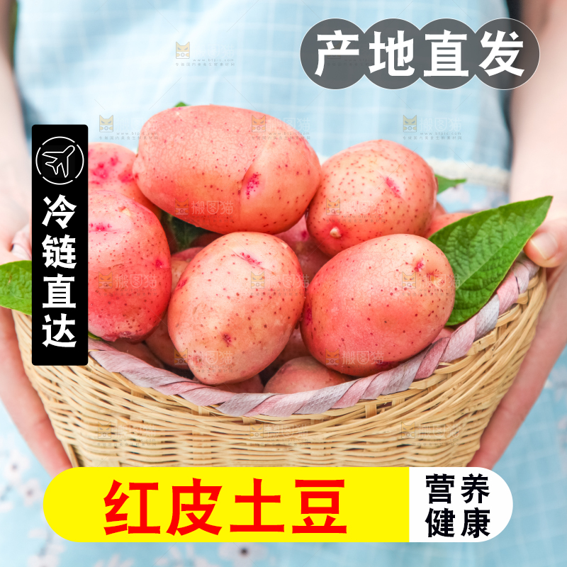 篮子里装着红皮黄心土豆