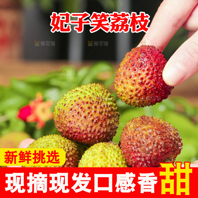 手捧着妃子笑荔枝