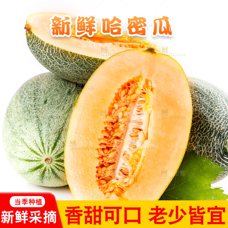 白底上摆放着哈密瓜