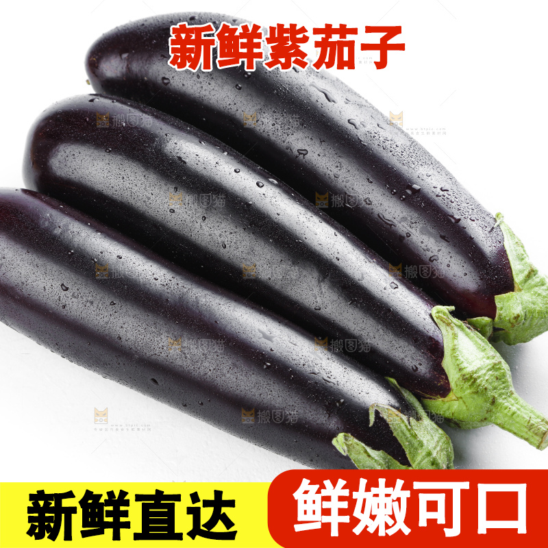 白底上摆放着紫茄子