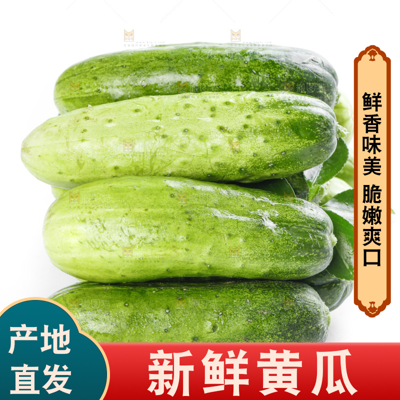 白底上放着刺黄瓜