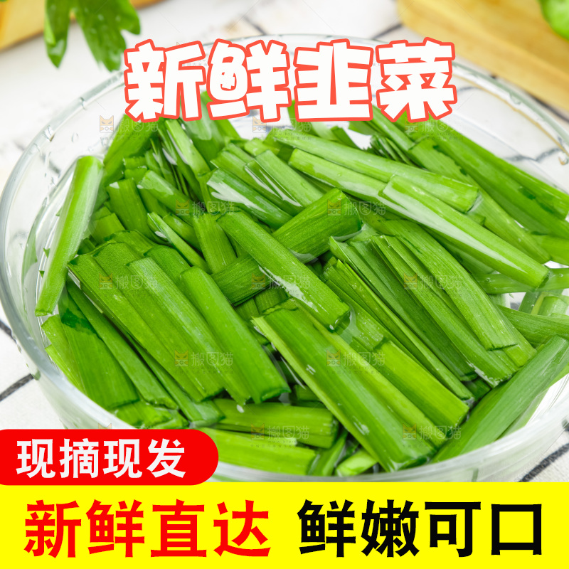 格子底上摆放着农家韭菜