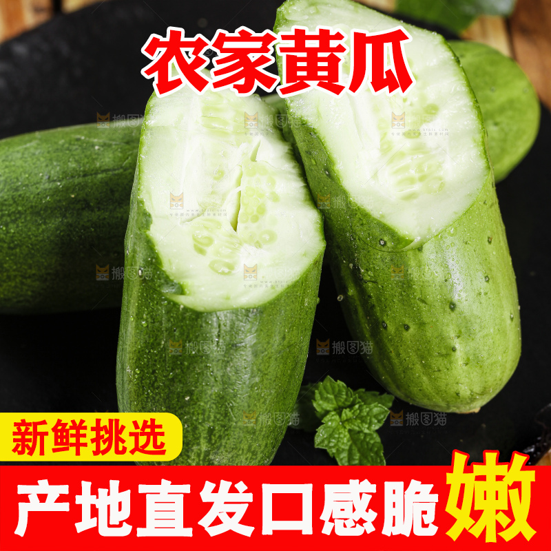 黑底上摆放着青黄瓜